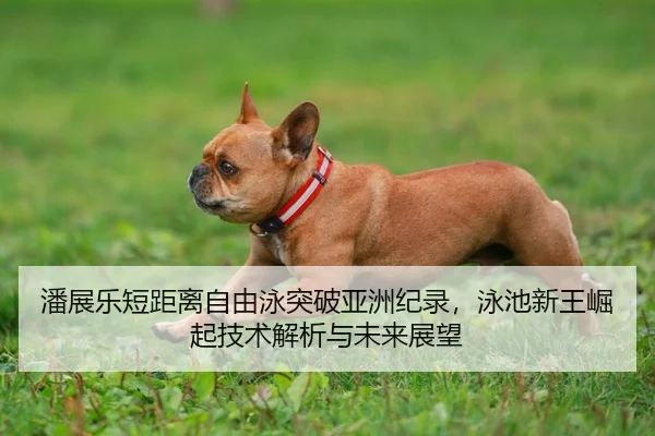 潘展乐短距离自由泳突破亚洲纪录，泳池新王崛起技术解析与未来展望